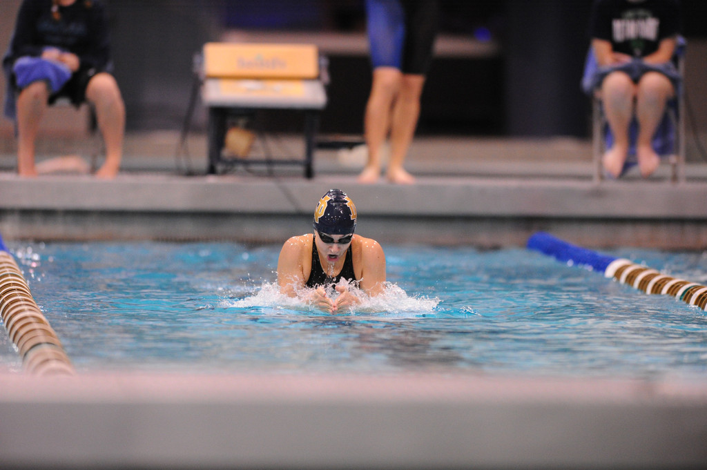 Shamrock Invitational - Jan. 31 - Feb. 1, 2014