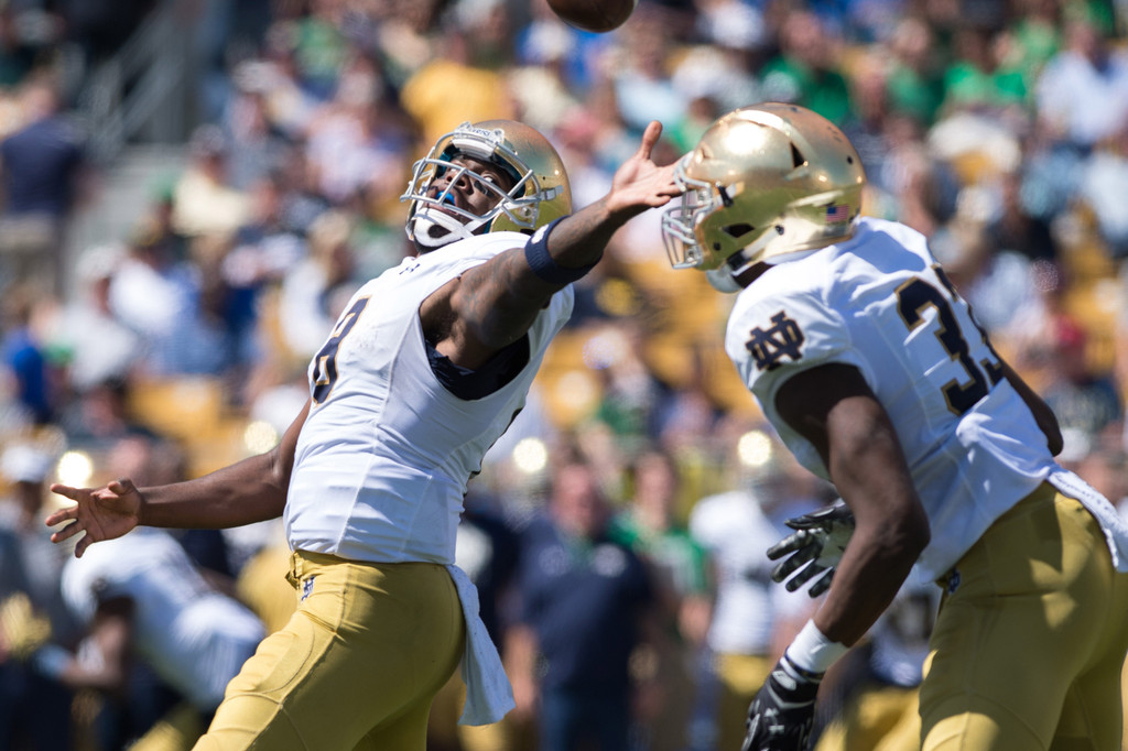 Blue vs. Gold Spring Game