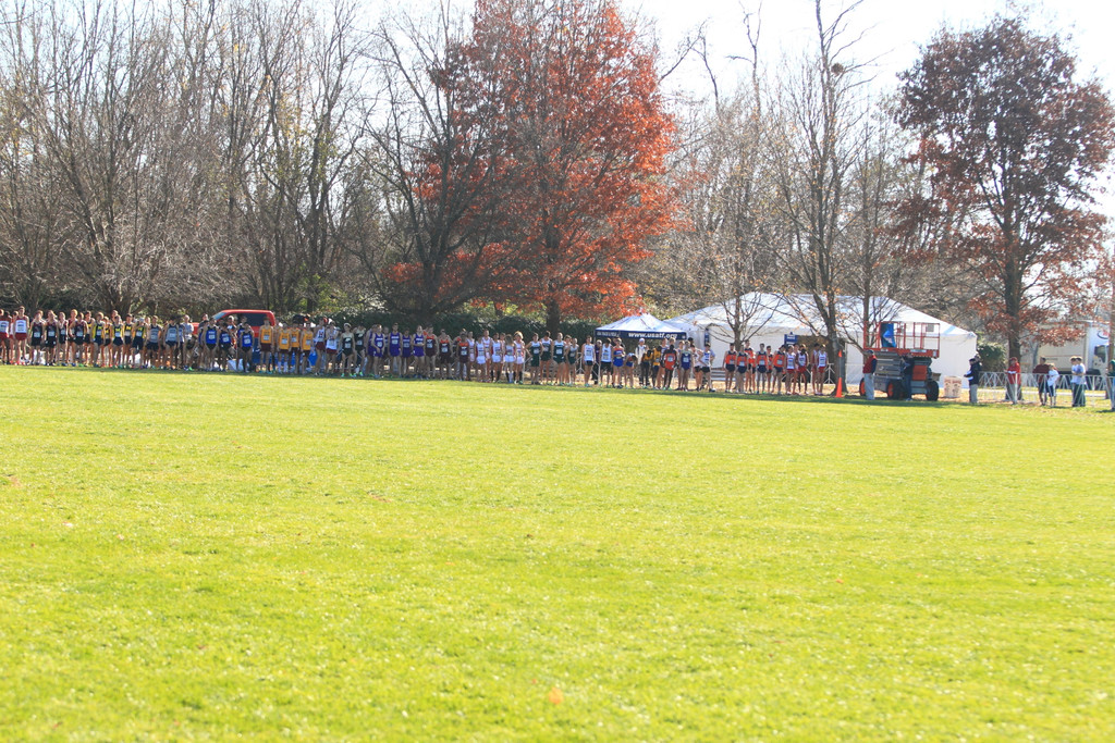 2012 NCAA Championship