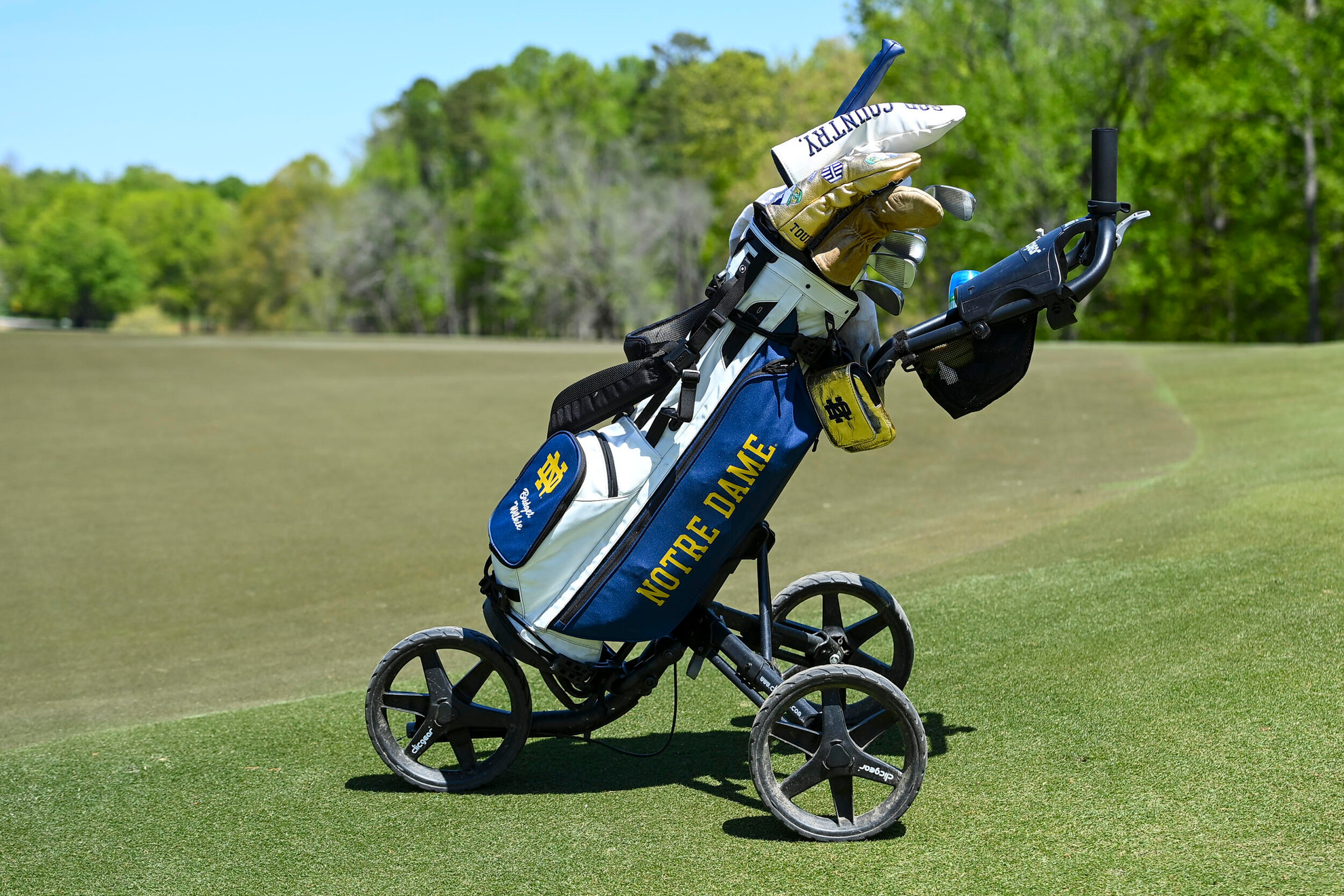 Powers Ellis Resigns As Women’s Golf Head Coach Powers Ellis Resigns As Women’s Golf Head Coach