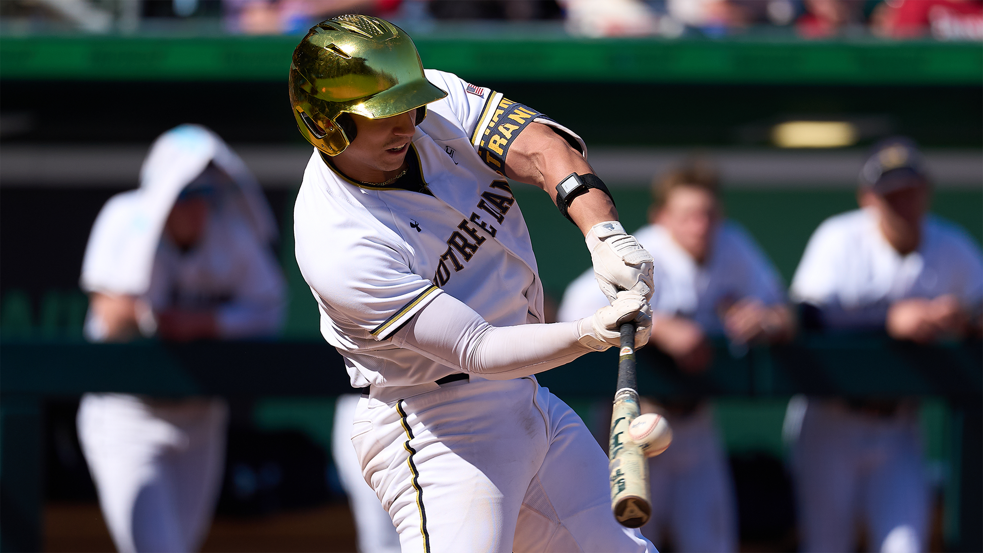 Transfer Quatrani Impresses Through First Ten Games With Irish Transfer Quatrani Impresses Through First Ten Games With Irish