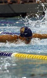 Irish Wrap Up Action In Boiler-Make-It Invitational Freshman Raine Paulson-Andrews delivered collegiate-best times in the 50 free, 100 free, and 100 fly in the Boiler-Make-It Invitational.