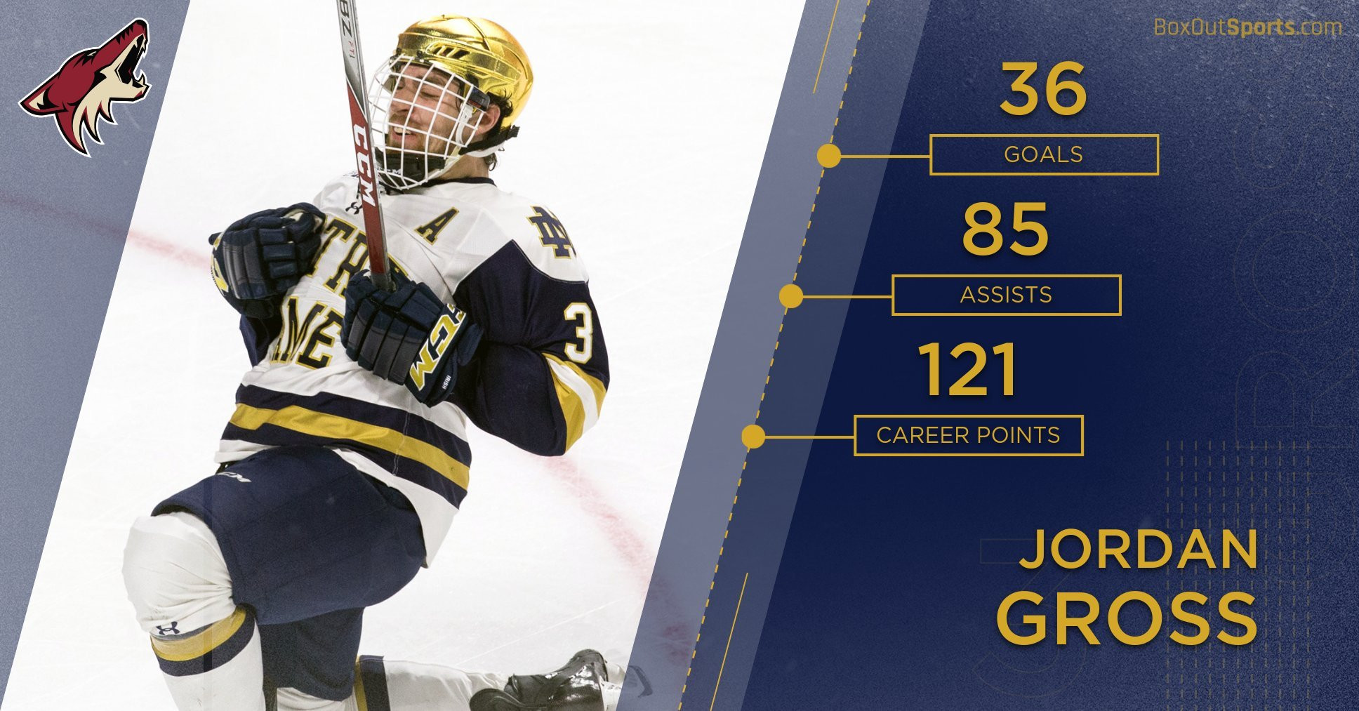 Gross Signs Two-Year Deal With Arizona Gross Signs Two-Year Deal With Arizona