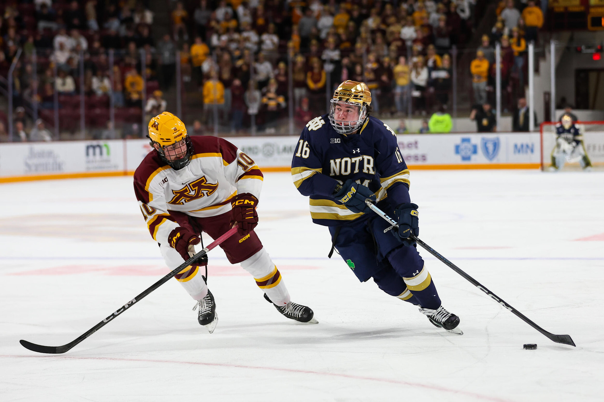 #17/18 Irish Split With #6/6 Gophers Following Loss #17/18 Irish Split With #6/6 Gophers Following Loss