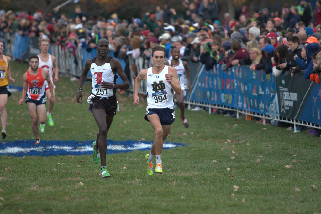 2015 NCAA Cross Country Championships