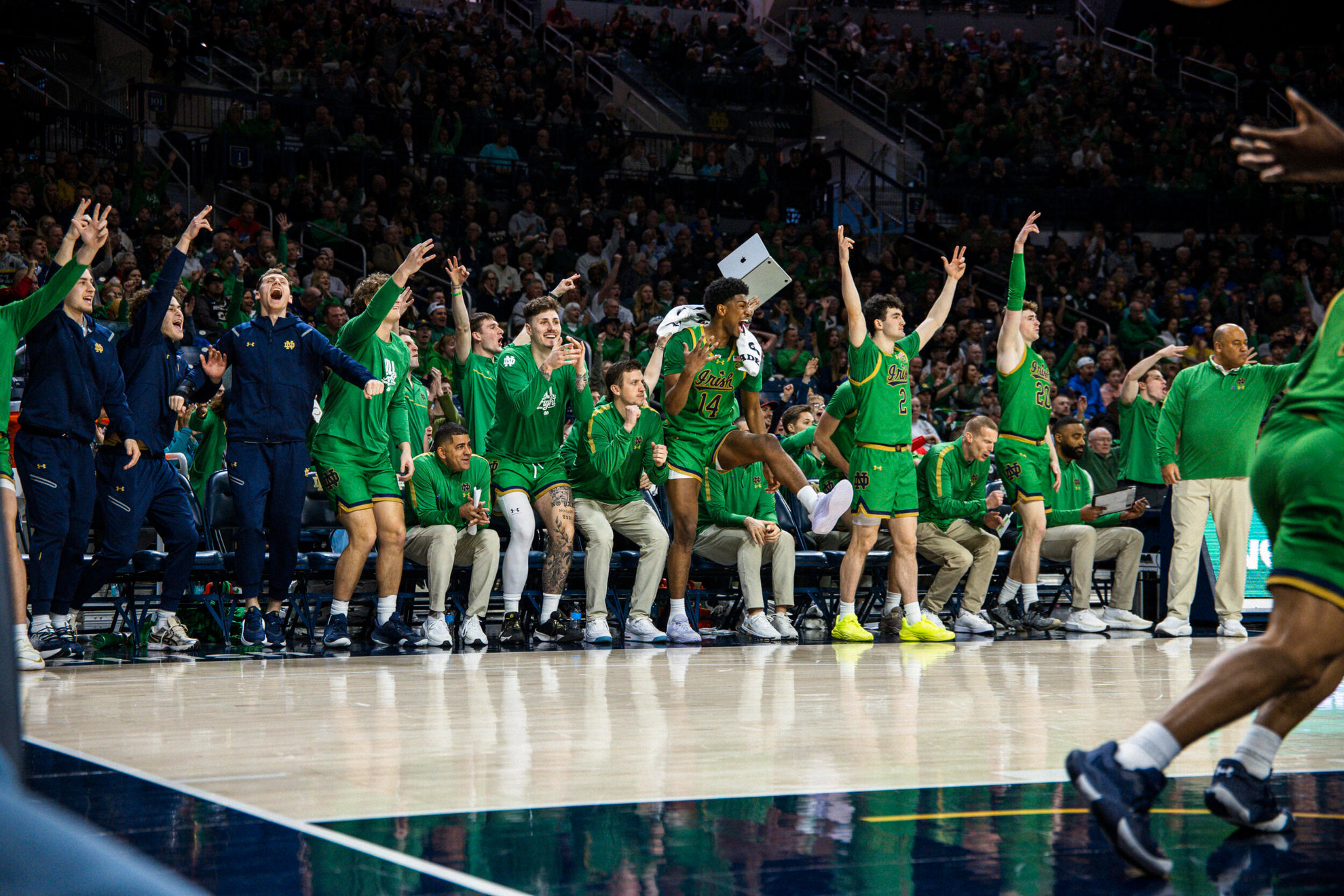 Irish Step Up For 76-72 Victory Over Pitt Irish Step Up For 76-72 Victory Over Pitt
