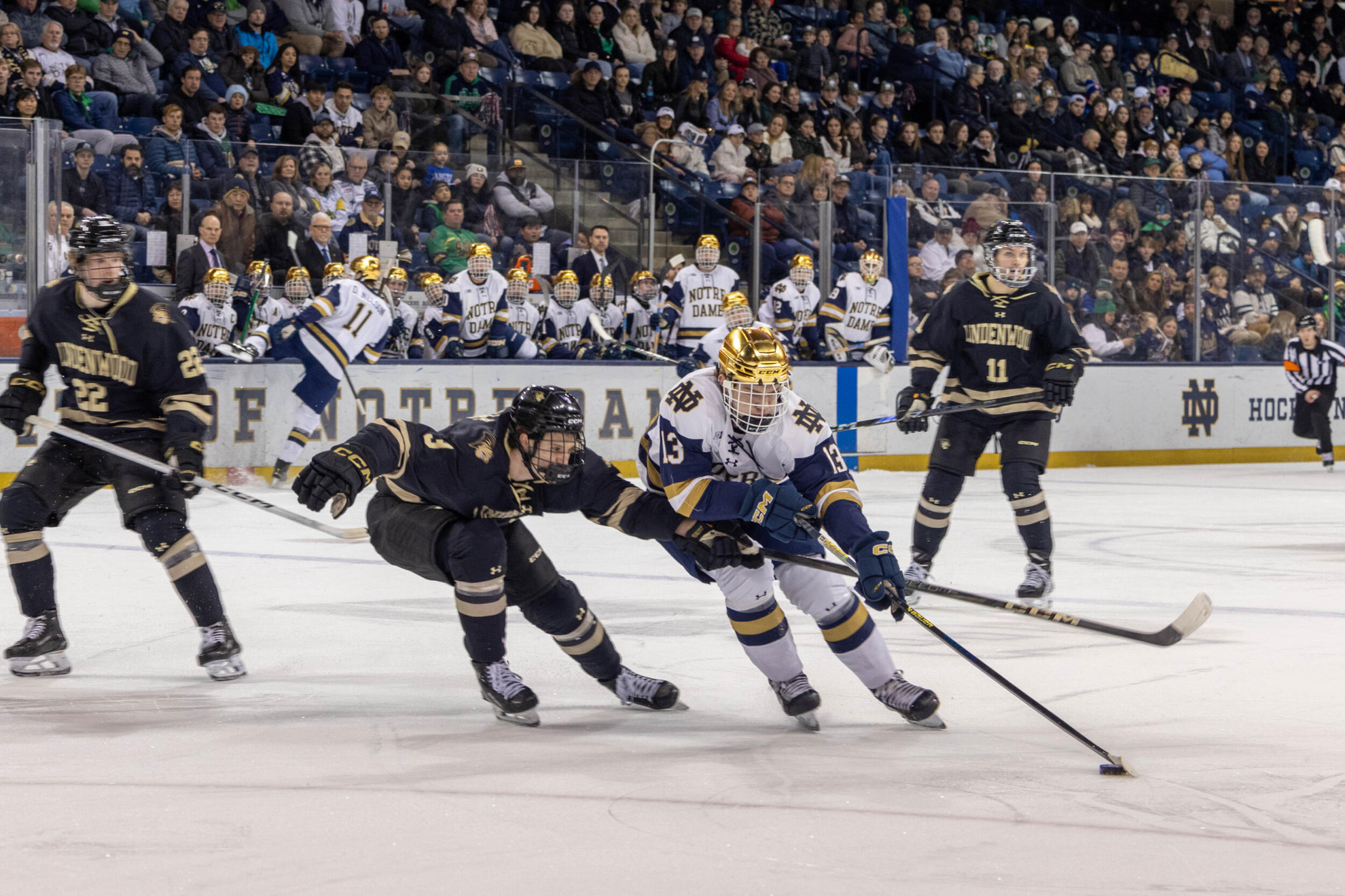 Irish Drop Game One Against Lindenwood Irish Drop Game One Against Lindenwood