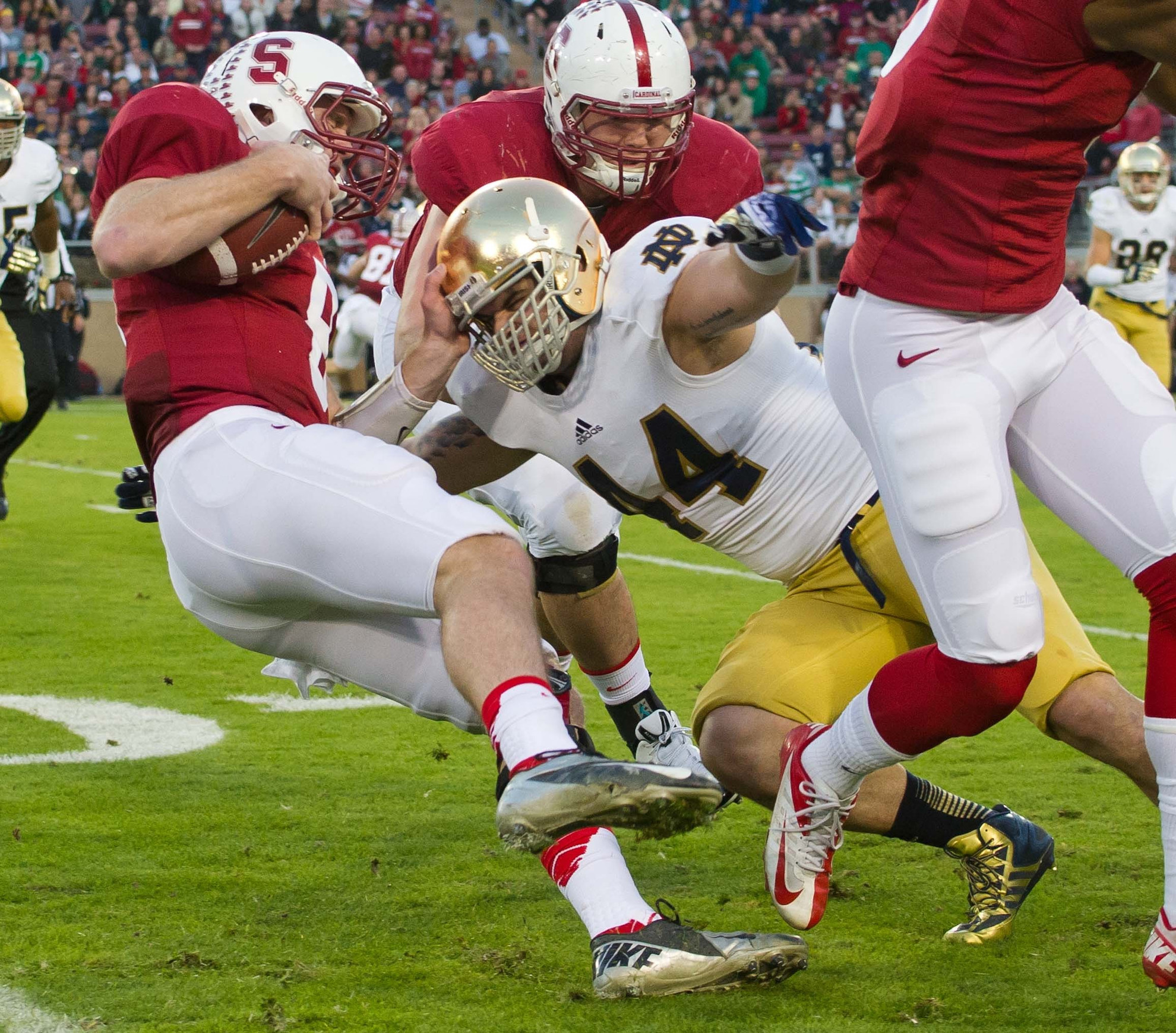 Five Irish Players Sign NFL Free-Agent Contracts Carlo Calabrese