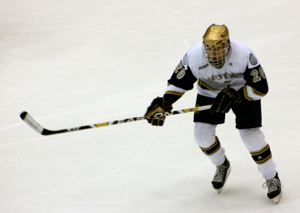Men's Hockey vs. Michigan