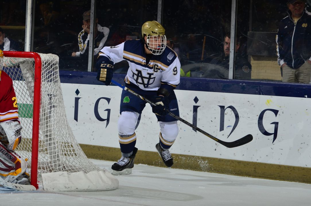 Anders Lee was named first team all-CCHA for the 2012-13 season.