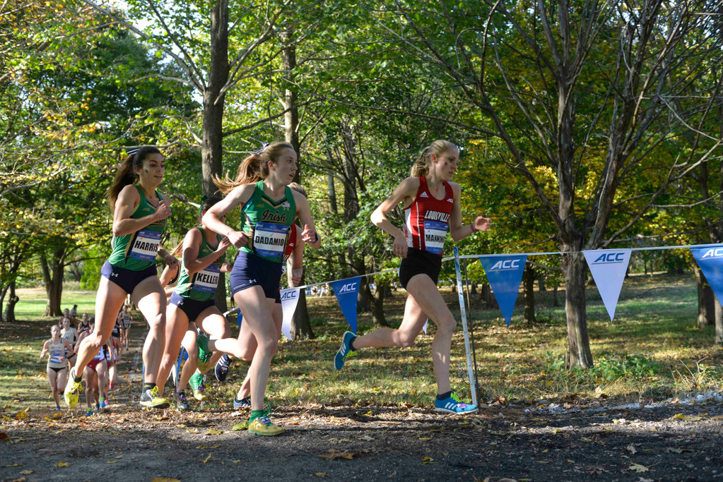 ACC Cross Country Championships (USATSI)