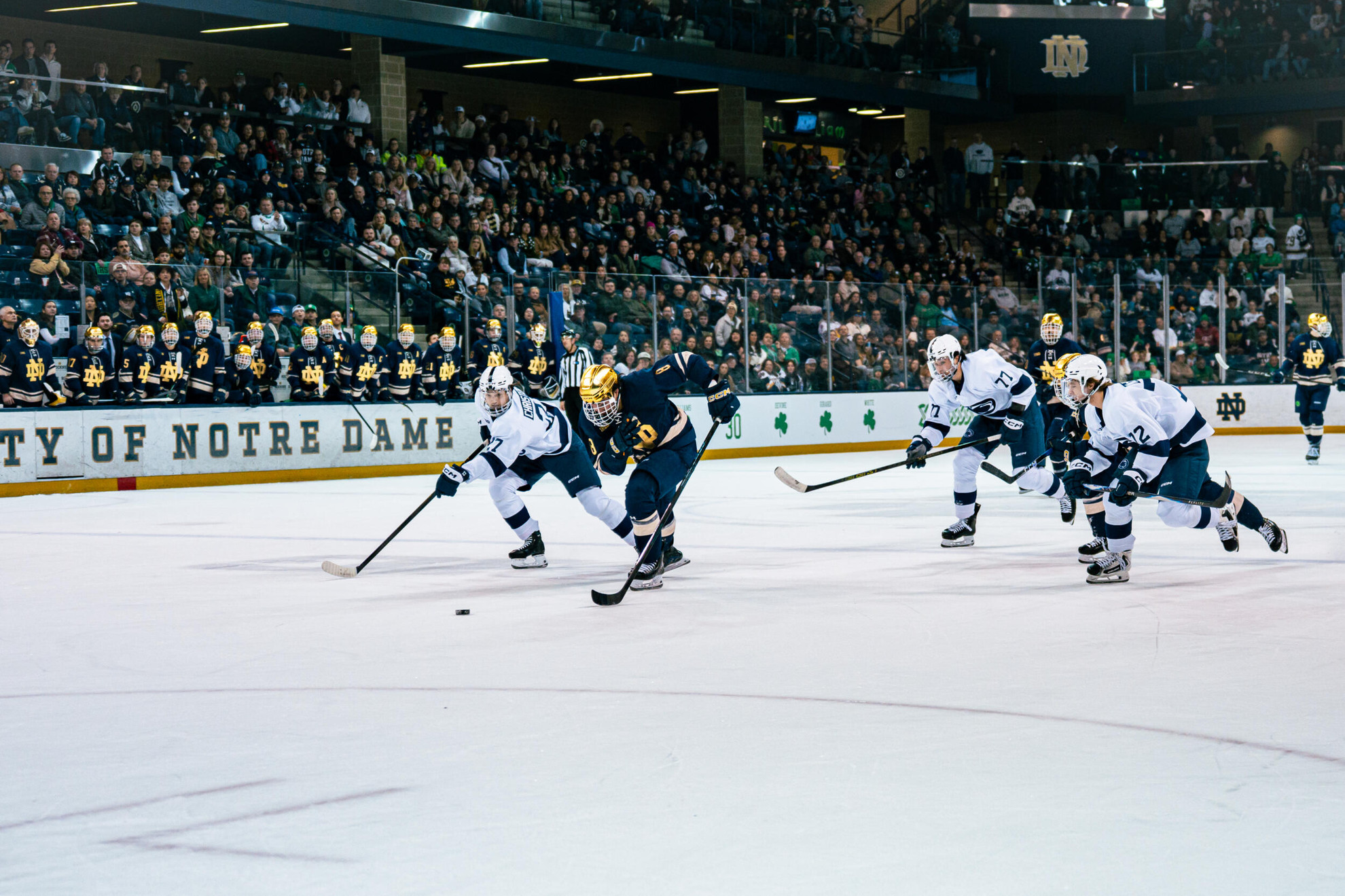 Irish Tie #5/5 Nittany Lions Friday Night Irish Tie #5/5 Nittany Lions Friday Night