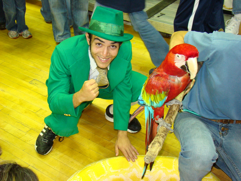 Women's Volleyball vs. Seton Hall