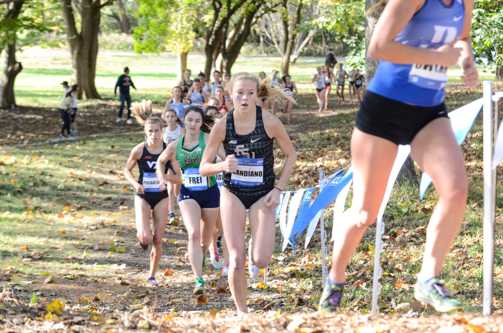ACC Cross Country Championships (USATSI)