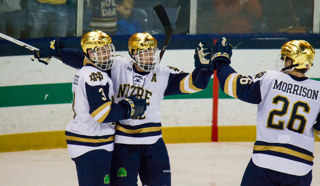 Notre Dame vs. Minnesota (Nov. 24, 2017)