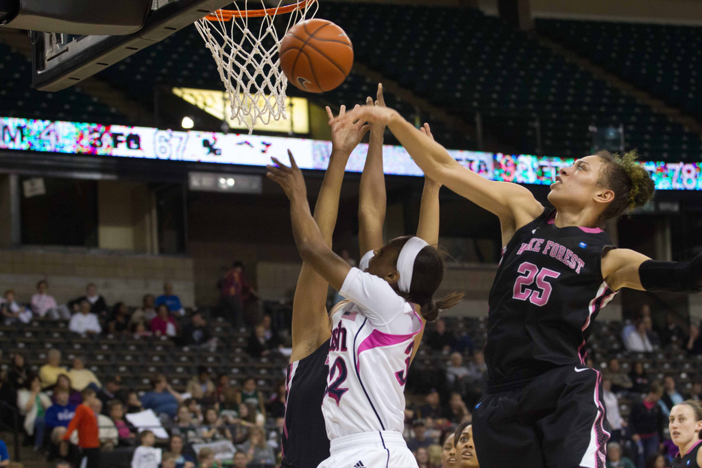 Notre Dame vs. Wake Forest - USATSI