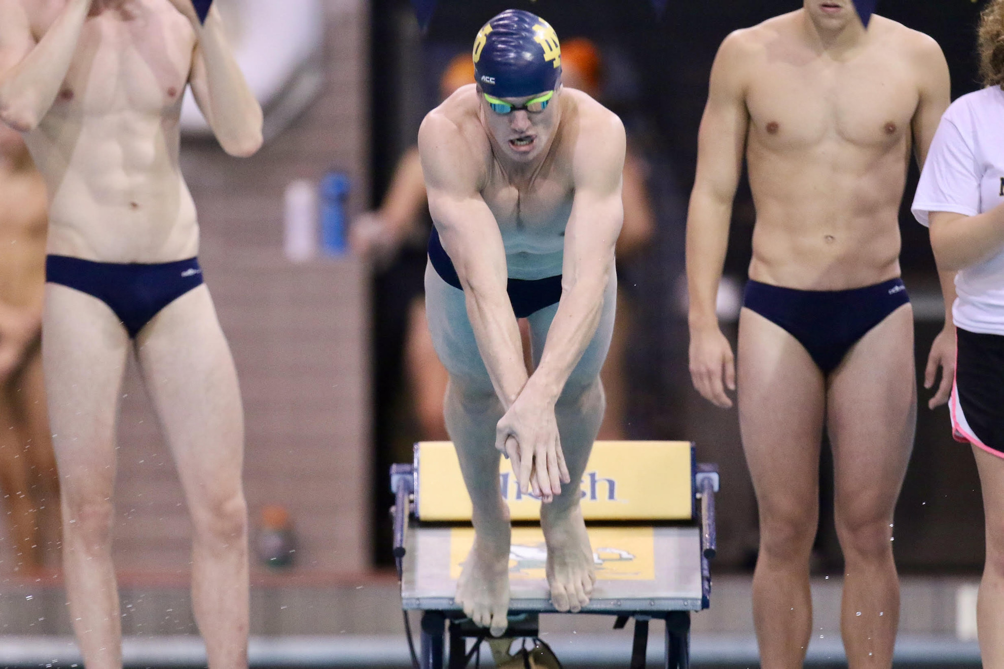 Irish Swimming & Diving Programs Ranked Among Top 15 Nationally Irish Swimming & Diving Programs Ranked Among Top 15 Nationally