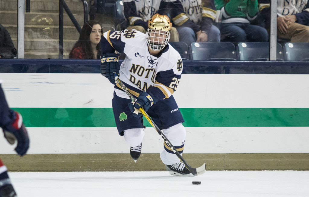 A Season in Photos: 2016-17 Notre Dame Hockey
