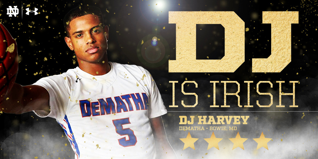 D.J. Harvey Is Irish D.J. Harvey Is Irish