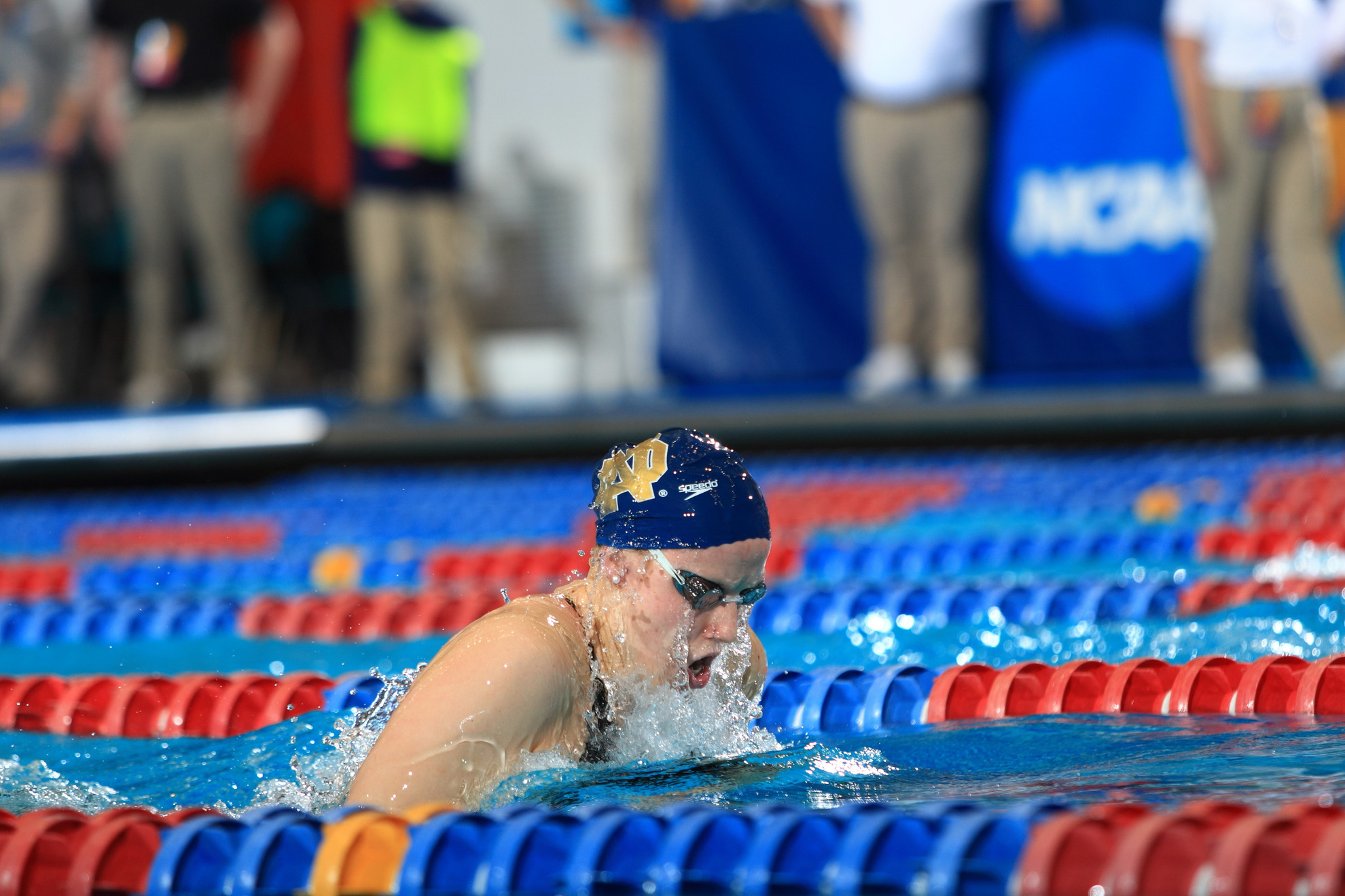Irish Close Out Fall At Hawkeye Invitational Junior Emma Reaney set a school, meet and pool record in the 200 breast Sunday afternoon.