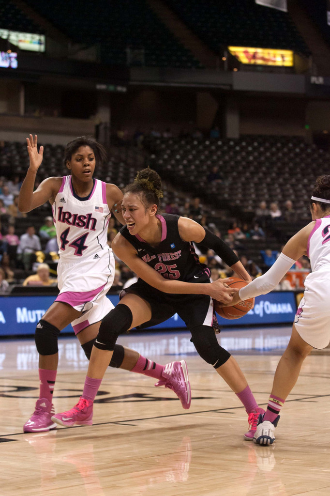 Notre Dame vs. Wake Forest - USATSI