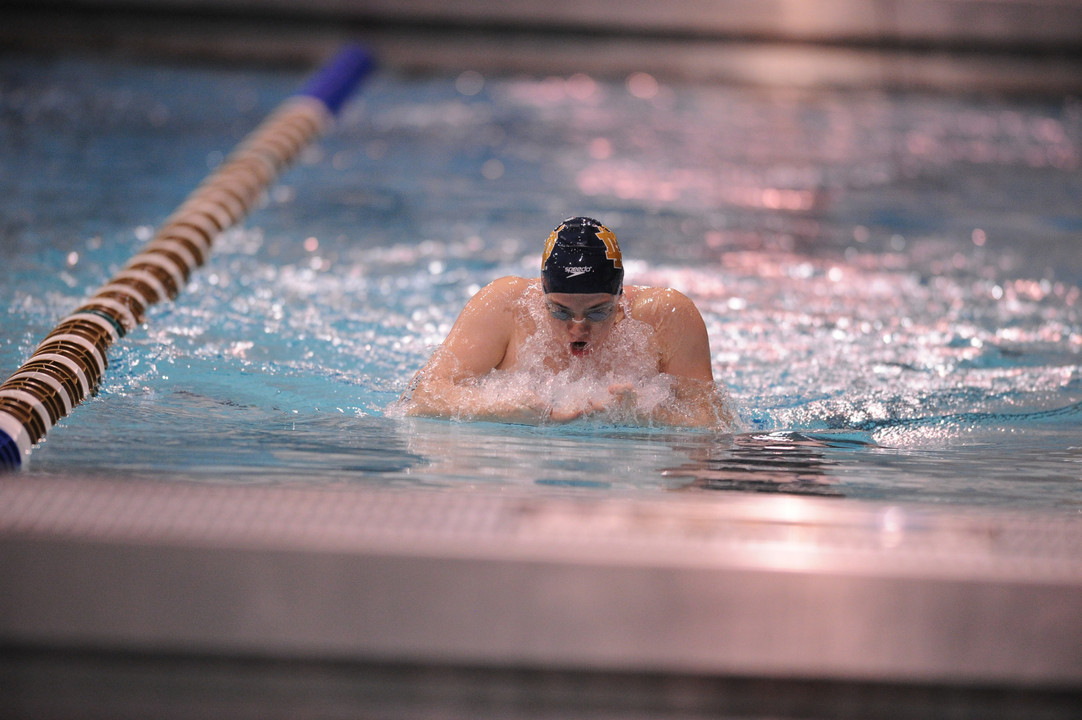 Notre Dame graduate Lauren Stauder was one of seven Irish standouts to earn national academic honors recently.