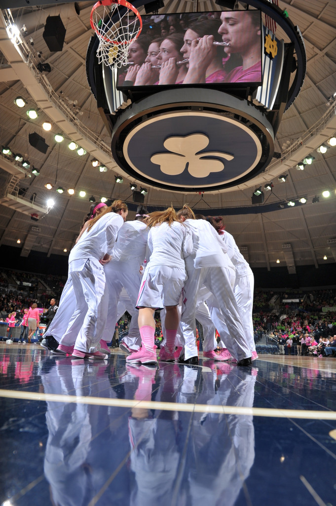 Notre Dame Pink Zone 2014