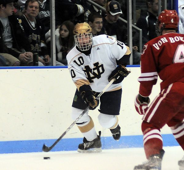 Kyle Palmieri's first-period, power-play goal was his seventh of the season and gave Notre Dame a 1-0 lead.