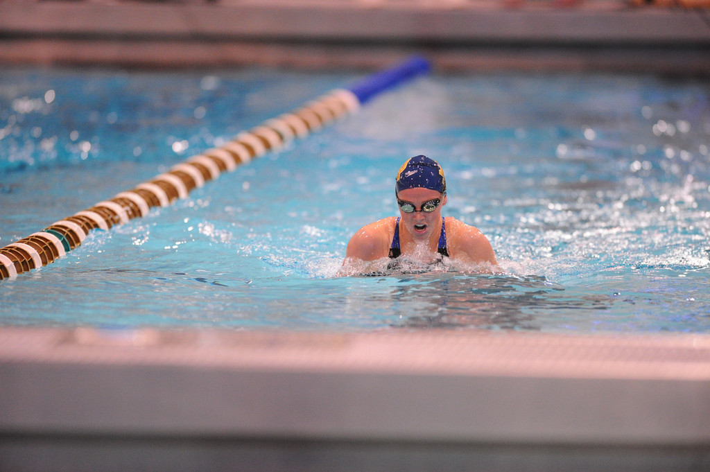 Shamrock Invitational - Jan. 31 - Feb. 1, 2014