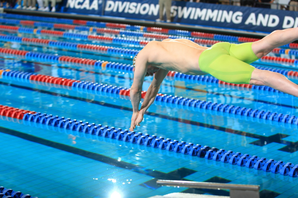 Men's NCAA Swimming Championship