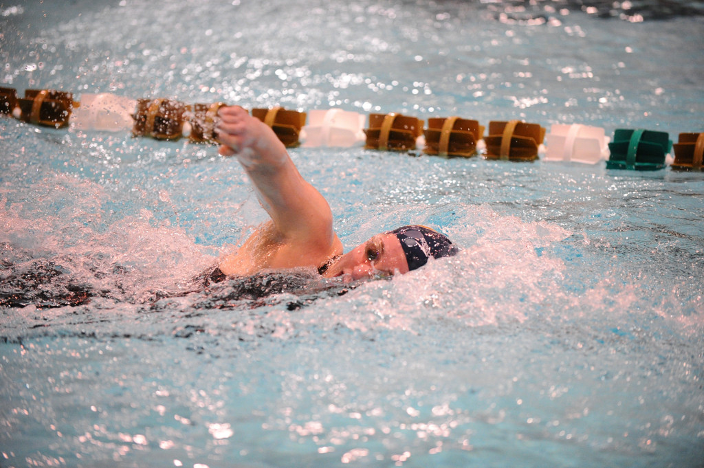 Shamrock Invitational - Jan. 31 - Feb. 1, 2014