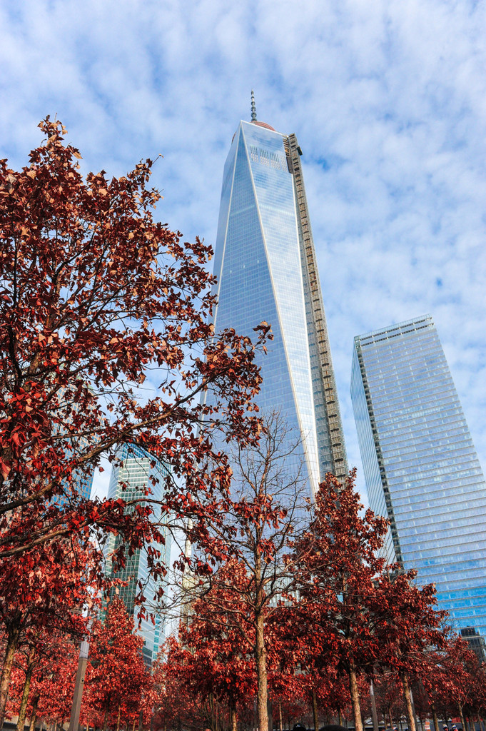 Football at the Pinstripe Bowl - Friday