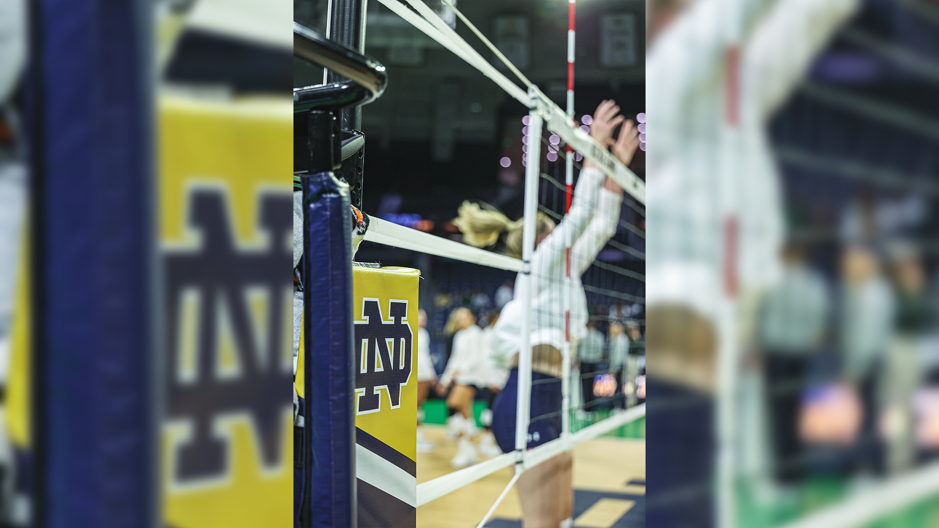 Irish Earn AVCA Team Academic Award Irish Earn AVCA Team Academic Award