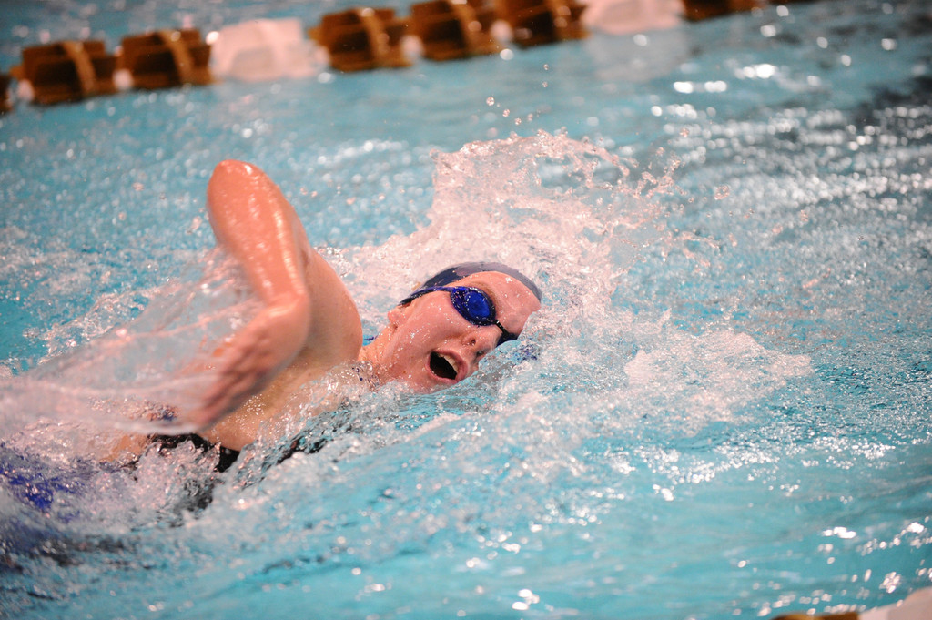 Shamrock Invitational - Jan. 31 - Feb. 1, 2014