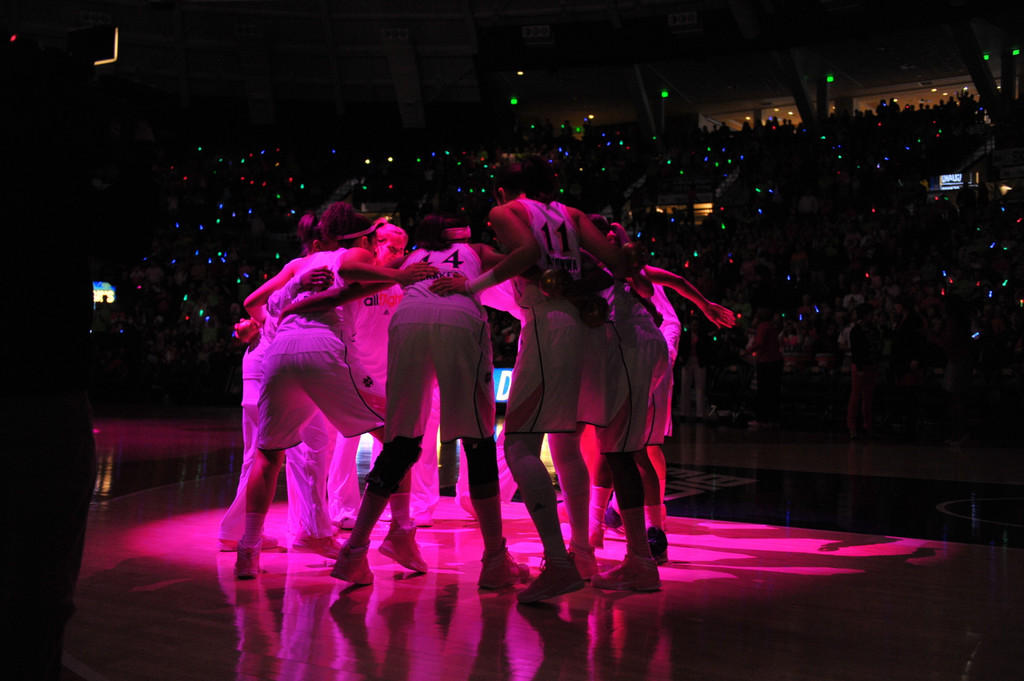Notre Dame Pink Zone 2014