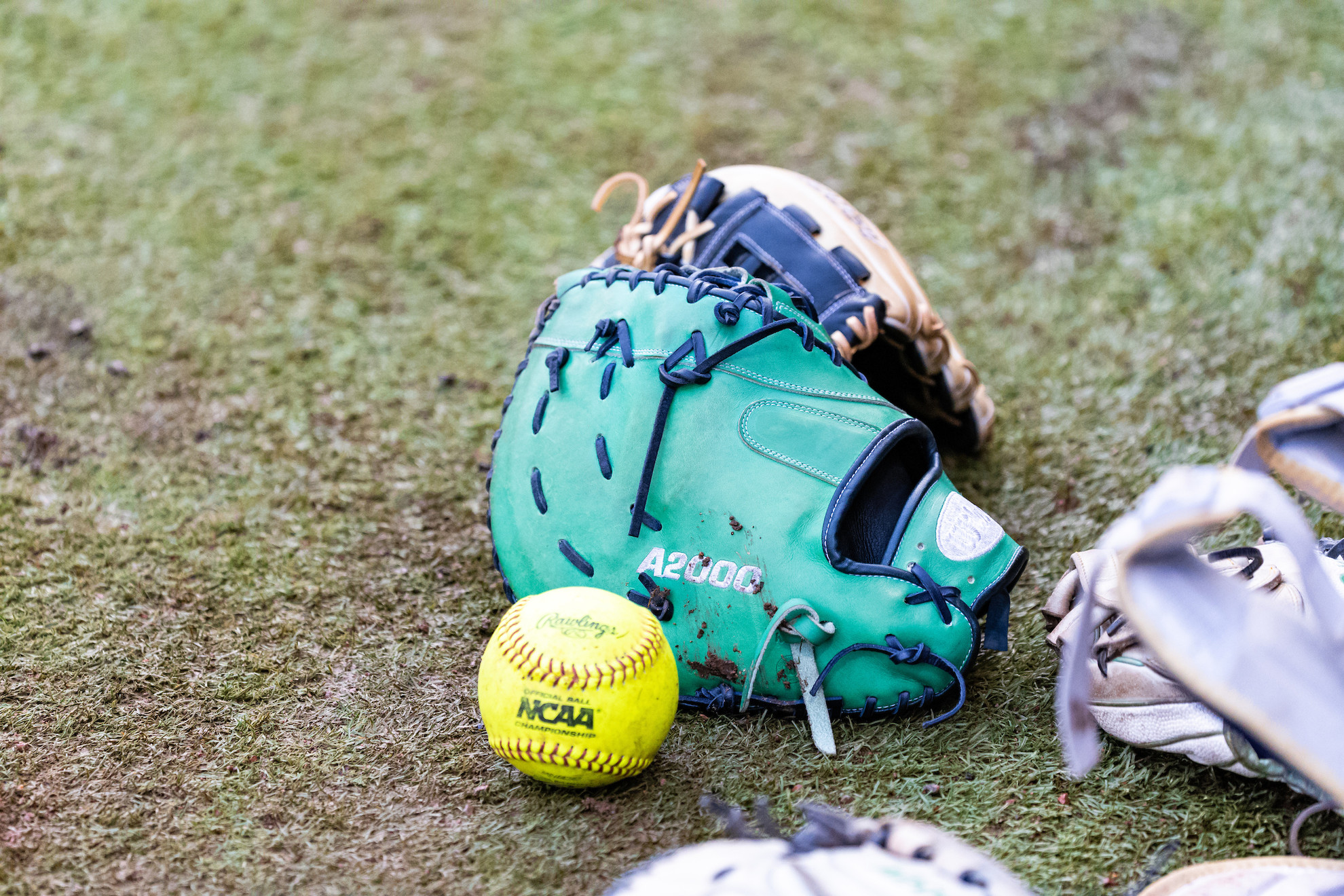 Notre Dame To Face Utah In First-Ever Live Softball Game on MLB Network Notre Dame To Face Utah In First-Ever Live Softball Game on MLB Network