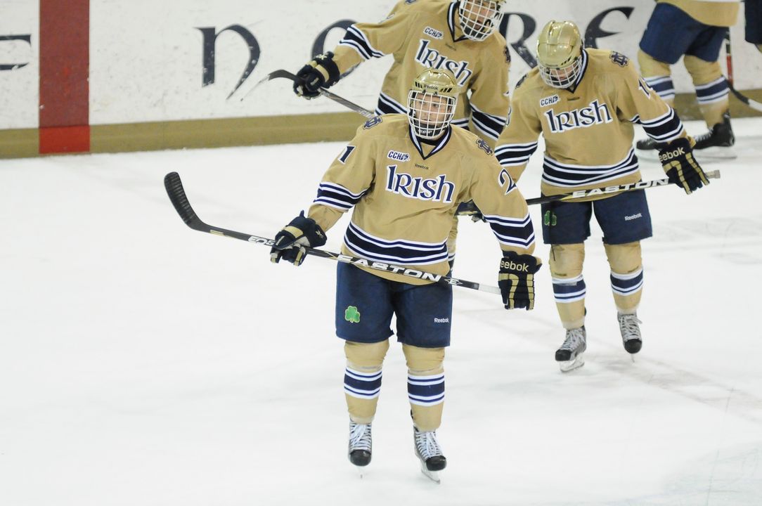 Junior Bryan Rust had Notre Dame's lone goal in the 3-1 loss to Minnesota Duluth.