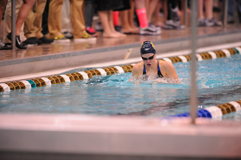 Shamrock Invitational - Jan. 31 - Feb. 1, 2014