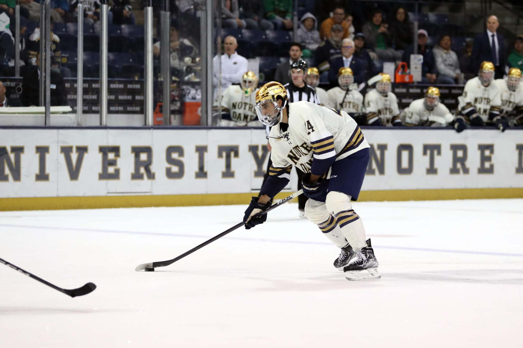 Bavaro Tabbed Second Star Bavaro Tabbed Second Star
