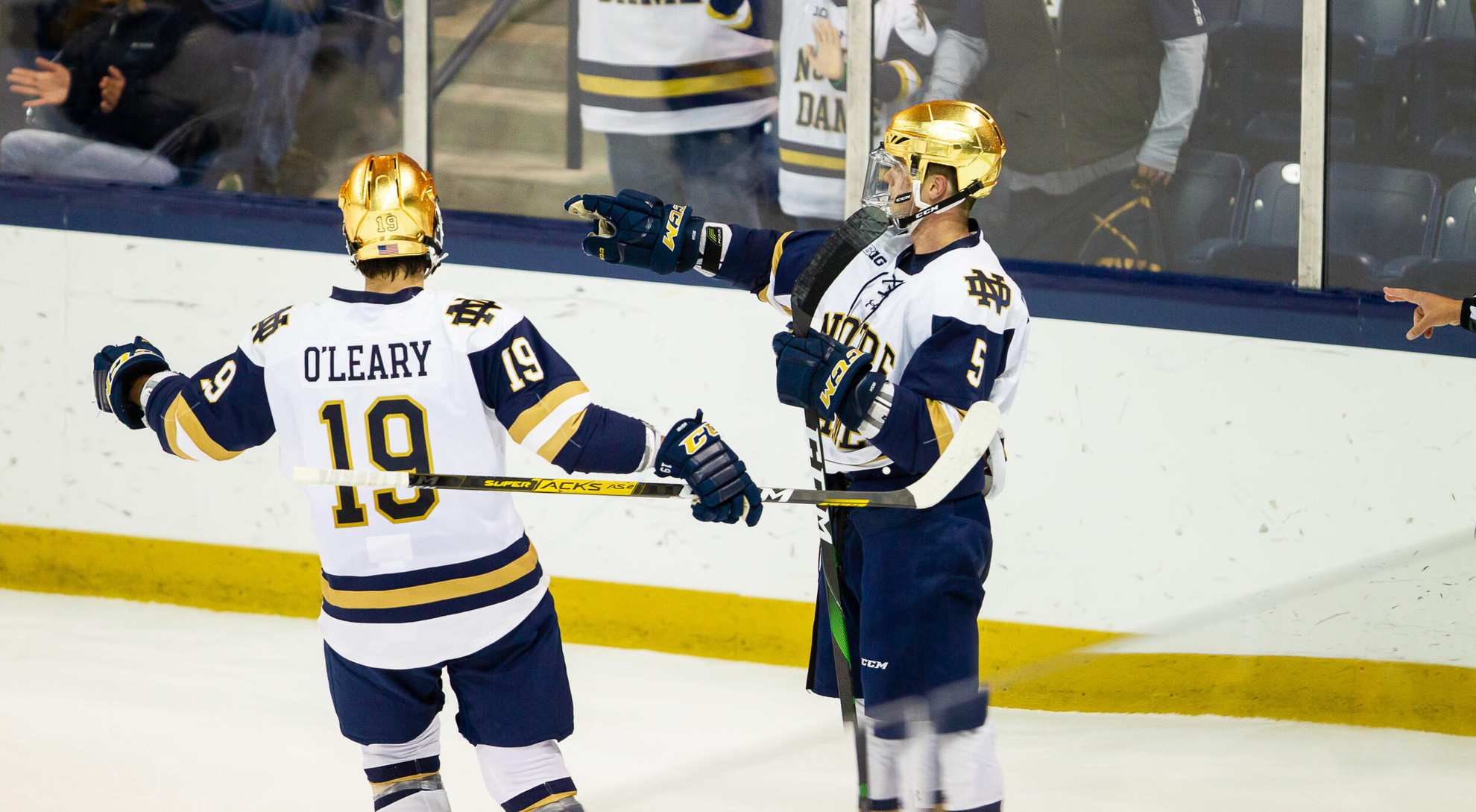 #4/5 Irish Open Big Ten Play at Minnesota #4/5 Irish Open Big Ten Play at Minnesota