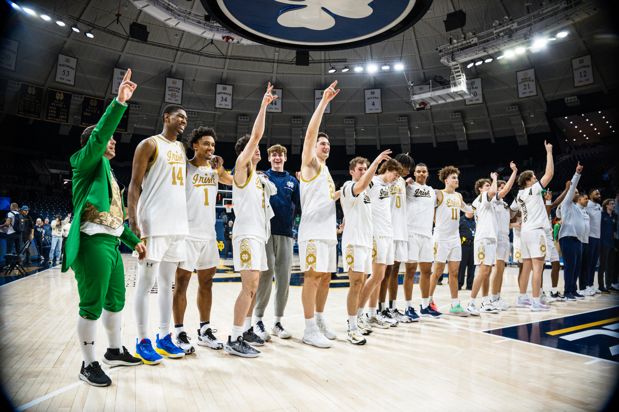 29. Irish, Tigers & Purcell, Oh My! 29. Irish, Tigers & Purcell, Oh My!