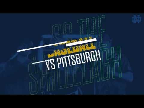 @NDBaseball | Highlights at Pittsburgh (2019)