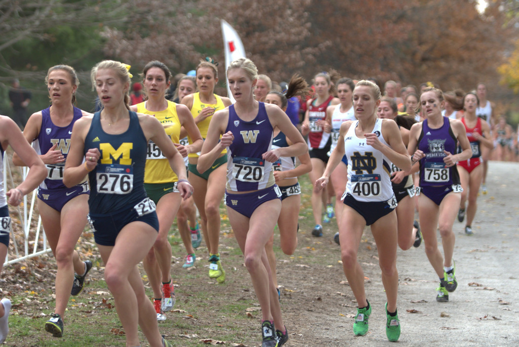 2015 NCAA Cross Country Championships