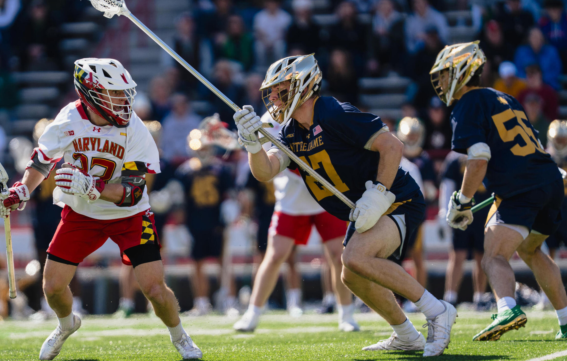 Behrman And Schwitzenberg Earn ACC Weekly Awards Behrman And Schwitzenberg Earn ACC Weekly Awards