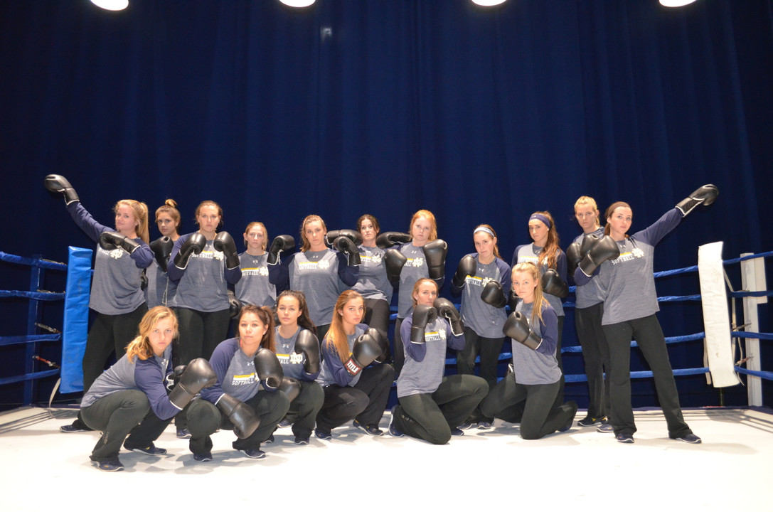 Notre Dame Fighting Irish - Official Athletics Website