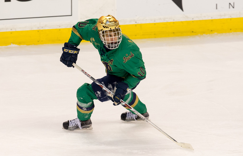 A Season in Photos: 2016-17 Notre Dame Hockey