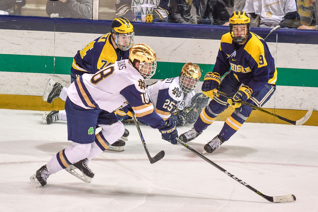 No. 1 Notre Dame Hockey vs. Michigan, Game 3