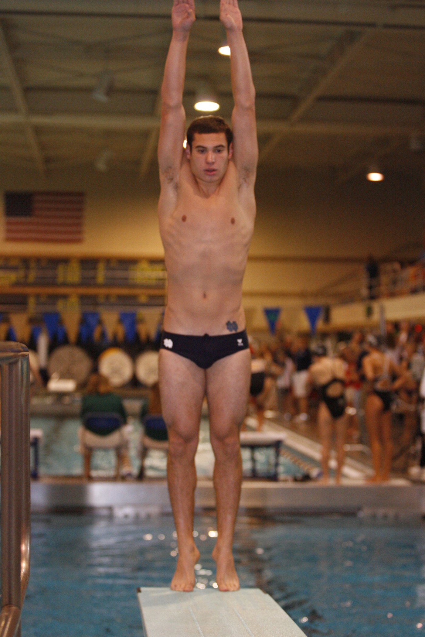 Lytle Comes Up Big For Irish In Tri-Meet Action Steven Crowe was fourth among divers in the 3-meter event in Friday's meet at Purdue.