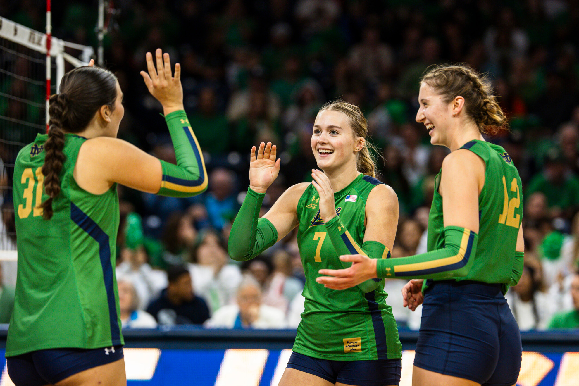 Irish Sweep Clemson Tigers Irish Sweep Clemson Tigers