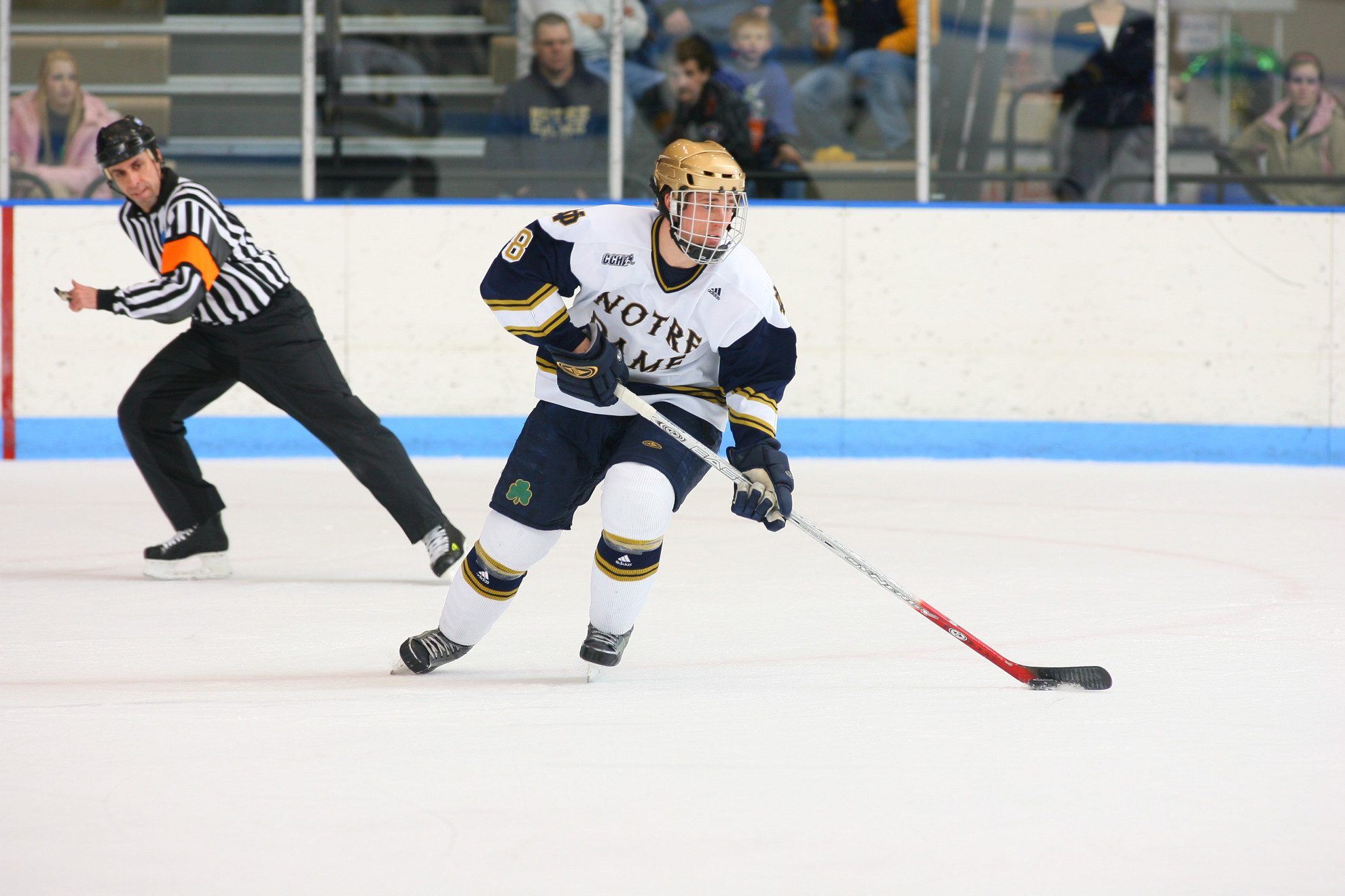 Irish Hockey Alums Wroblewski and Sciba Assume New Head Coaching Roles Josh Sciba